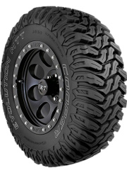 COOPER EVOLUTION MTT OWL POR small