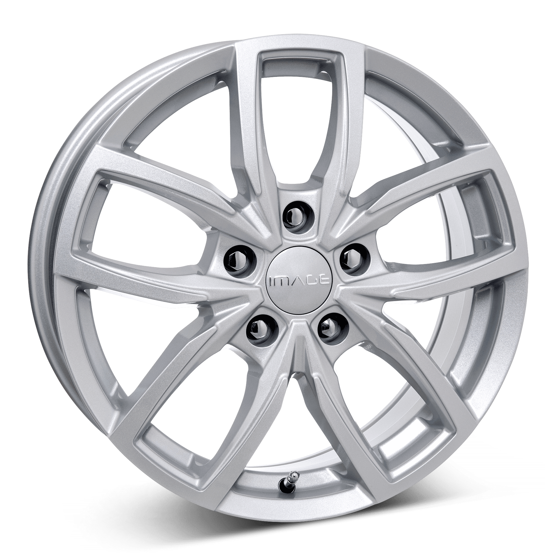 Image Vector Slv